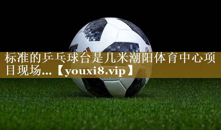 标准的乒乓球台是几米潮阳体育中心项目现场…