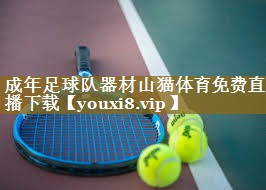 成年足球队器材山猫体育免费直播下载